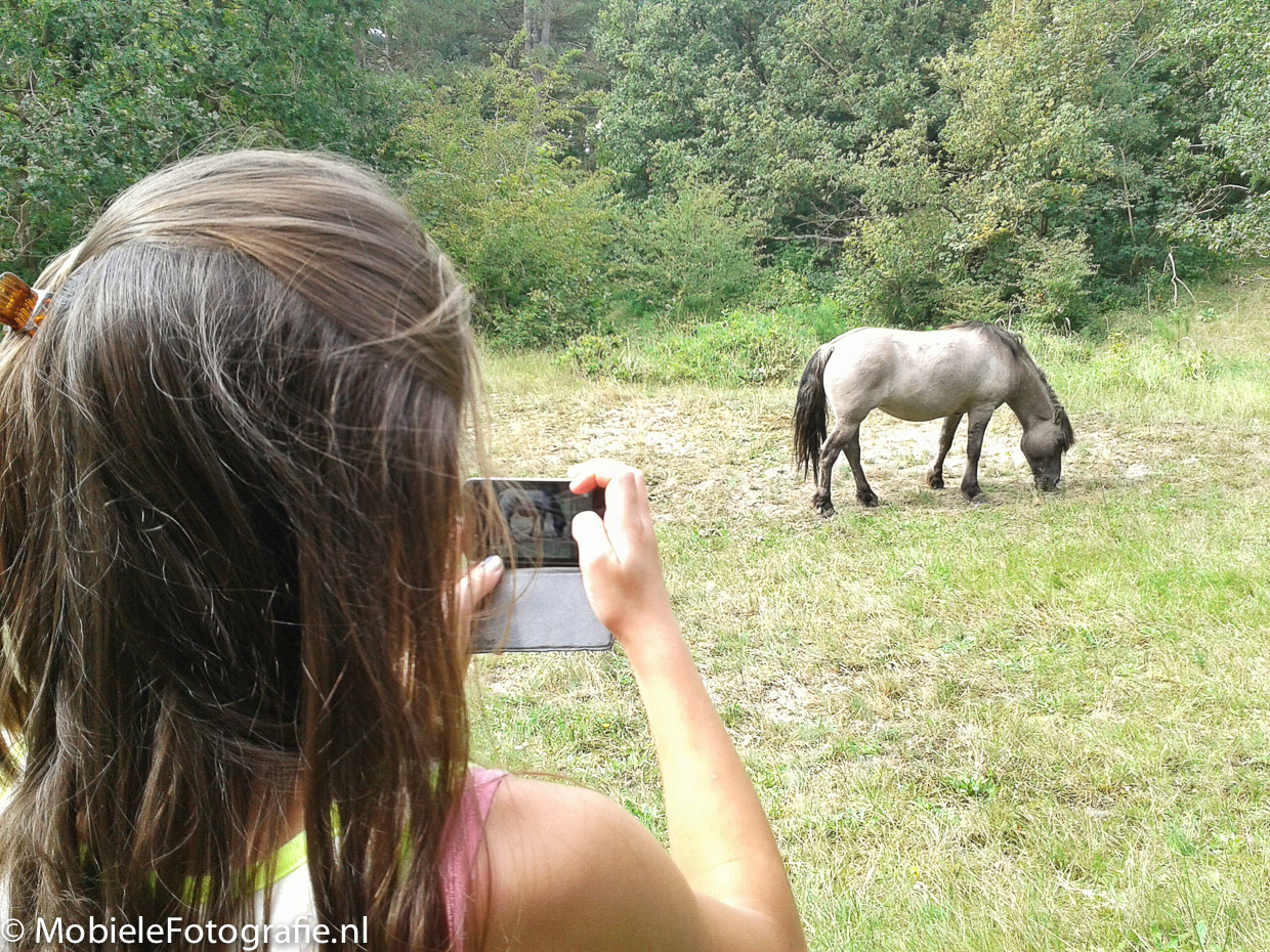 Meisje maakt met haar mobiele telefoon een foto maken van een wild paard
