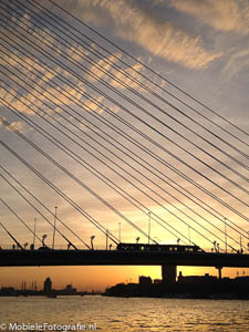 Achtergrond voor je mobiele telefoon: Erasmusbrug in Rotterdam bij zonsondergang.