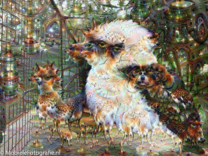 Een foto van een kookaburra vogel na een DeepDream bewerking.