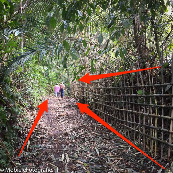 De lijnen langs het hek en het bospad leiden je blik naar de wandelaars in de verte.