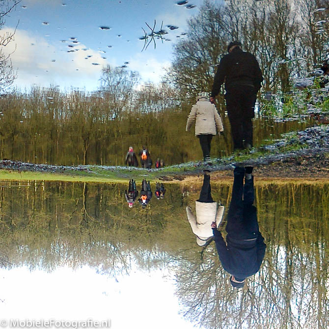 Omgedraaide foto van de spiegeling in een regenplas in Drenthe. [Nokia C2]